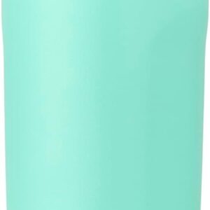Owala Kids FreeSip Insulated Stainless Steel Water Bottle with Straw for Sports. Travel. and School BPA-Free Sports Water Bottle. 16 oz. Mint Chocolate