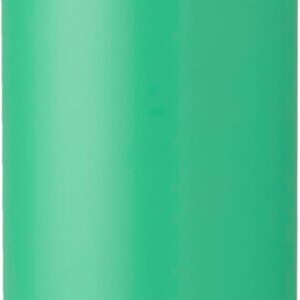Owala Disney Princess FreeSip Insulated Stainless Steel Water Bottle with Straw for Sports and Travel. BPA-Free Sports Water Bottle. 24 oz. Ariel