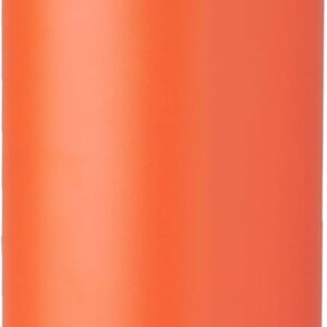 Owala Disney Princess FreeSip Insulated Stainless Steel Water Bottle with Straw for Sports and Travel. BPA-Free Sports Water Bottle. 24 oz. Moana