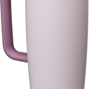 Owala FreeSip Tumbler Insulated Stainless Steel Water Bottle with Built-in Straw and Side Handle. For Travel. Work. School. and Sports. 40oz. BPA Free. Leak Proof. Dreamy Field